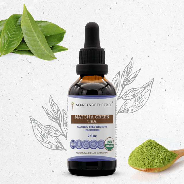 Secrets of the Tribe Matcha Green Tea Tincture
