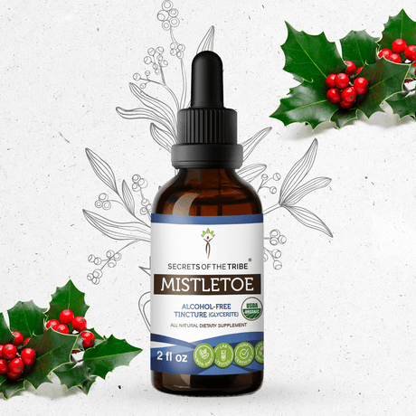 Secrets of the Tribe Mistletoe Tincture