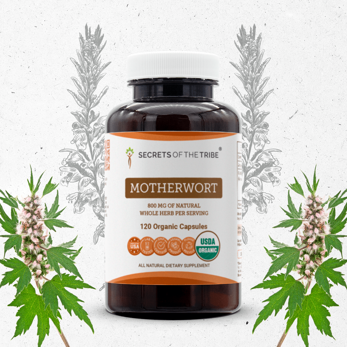 Motherwort Capsules