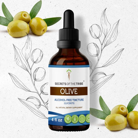 Secrets of the Tribe Olive Tincture