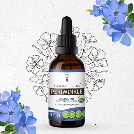Secrets of the Tribe Periwinkle Tincture
