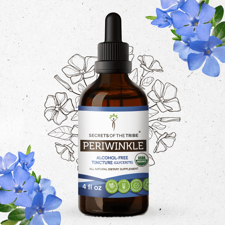 Secrets of the Tribe Periwinkle Tincture