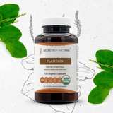 Secrets of the Tribe Plantain Capsules