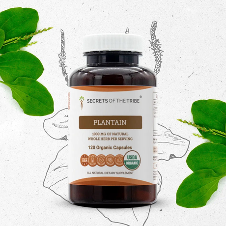 Secrets of the Tribe Plantain Capsules
