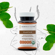 Secrets of the Tribe Plantain Capsules