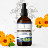 Pot Marigold Tincture