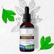 Secrets of the Tribe Sassafras Tincture