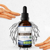 Shatavari Tincture