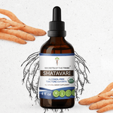 Shatavari Tincture