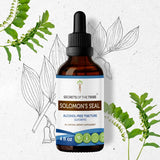 Solomon's Seal Tincture