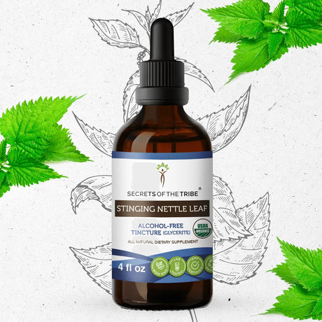Secrets of the Tribe Stinging Nettle Leaf Tincture