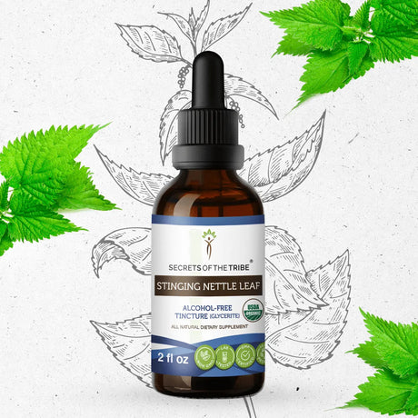 Secrets of the Tribe Stinging Nettle Leaf Tincture
