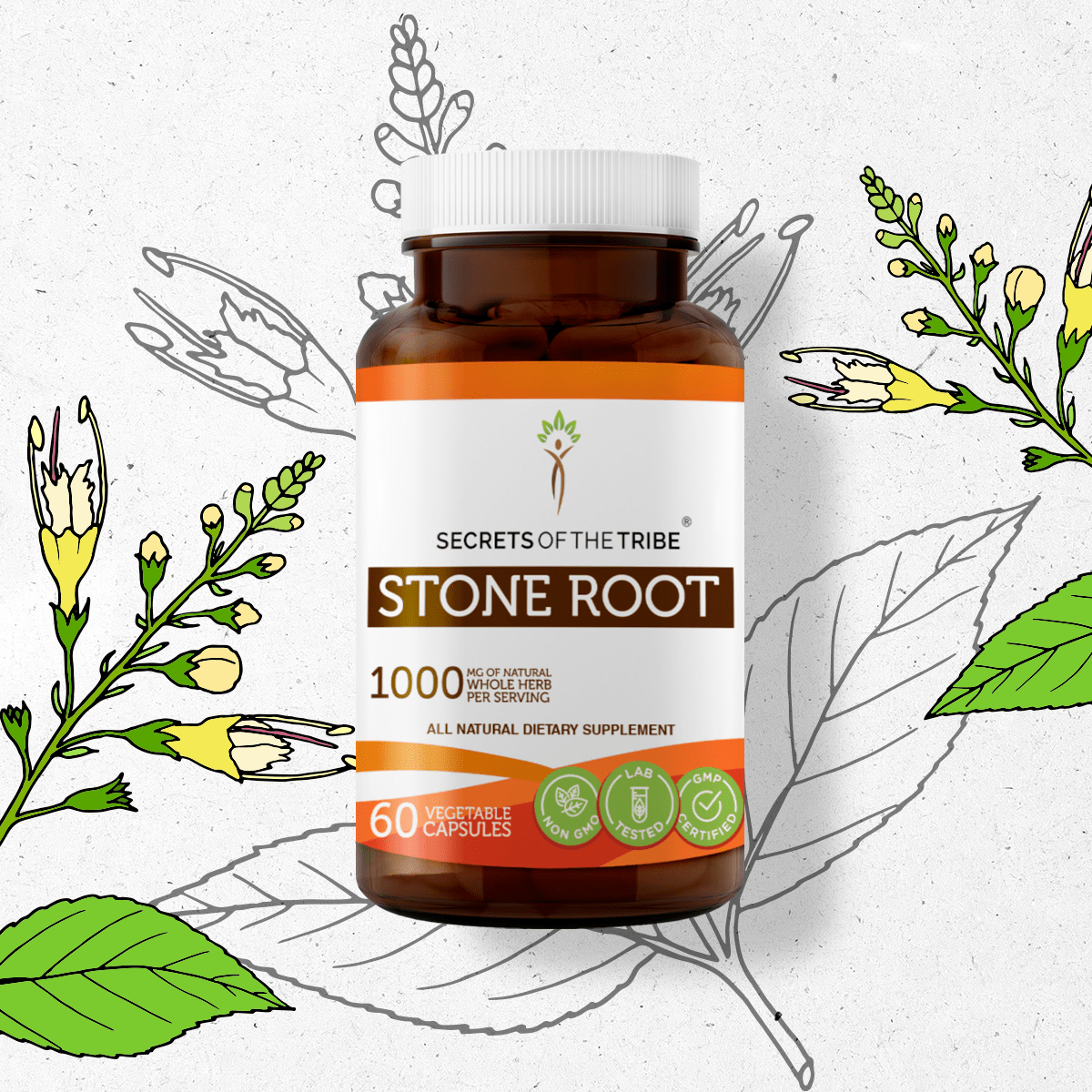 Stone Root Capsules