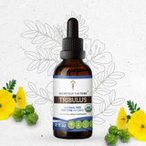 Tribulus Tincture