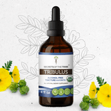 Tribulus Tincture