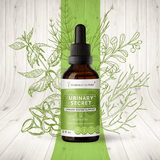Urinary Secret - Urinary System Support