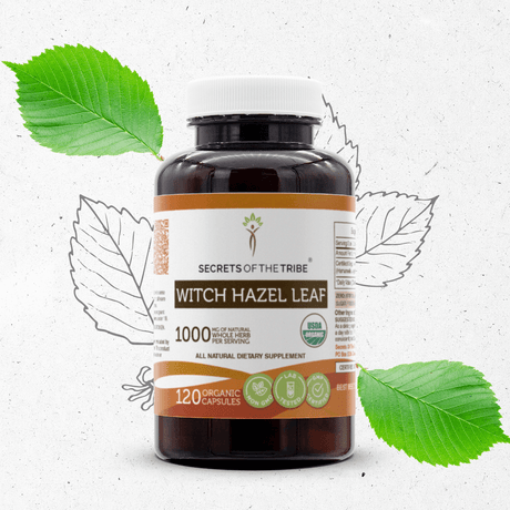 Secrets of the Tribe Witch Hazel Leaf Capsules