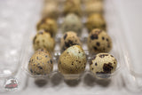 Freeze-Dried Raw Quail Eggs for Dogs & Cats: Whole Egg, Bulk Sizes