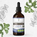 Secrets of the Tribe Horehound Tincture