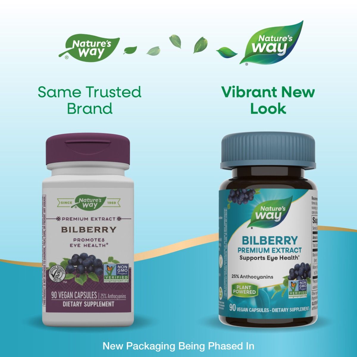 Bilberry 80 MG 90Vegan Capsules